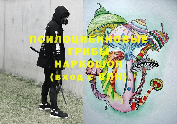 индика Костерёво