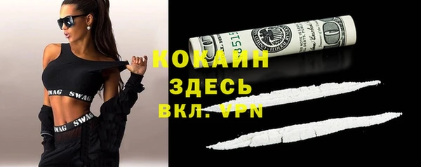 прущие грибы Волосово