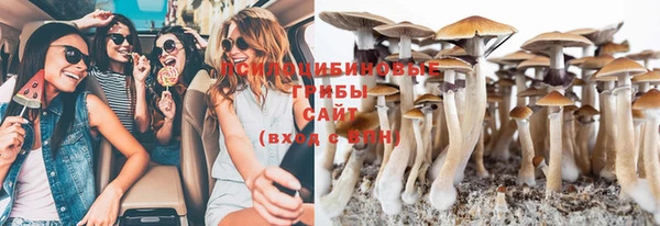 мяу мяу мука Нягань
