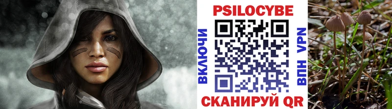 Псилоцибиновые грибы GOLDEN TEACHER  omg как зайти  Мосальск 
